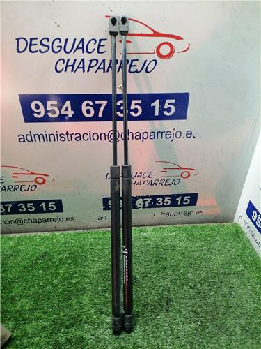 ASTRA G BERLINA Amortiguador Porton ASTRA G BERLINA Amortiguador Porton