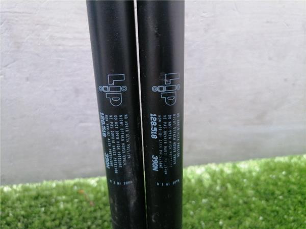 Amortiguador Porton Citroen Xsara