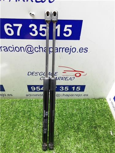I20 Amortiguador Porton I20 Amortiguador Porton