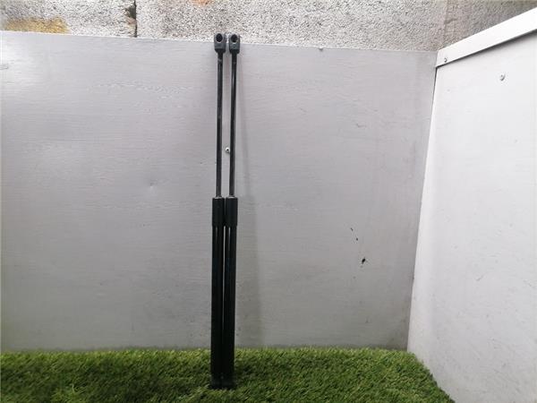 amortiguador porton volkswagen polo v 6c1 012