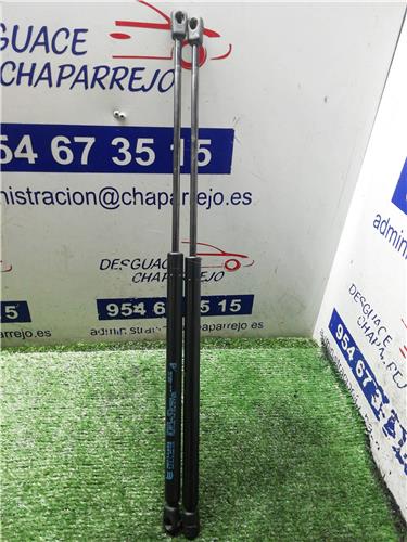 ASTRA G BERLINA Amortiguador Porton ASTRA G BERLINA Amortiguador Porton