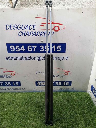 SAXO Amortiguador Porton SAXO Amortiguador Porton