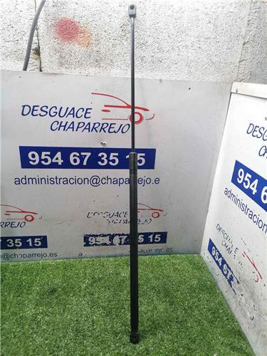 EOS Amortiguador Capo EOS Amortiguador Capo