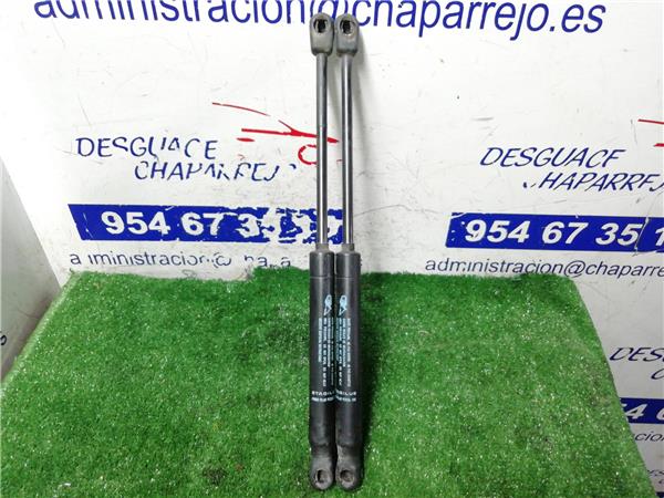 407 Amortiguador Porton 407 Amortiguador Porton