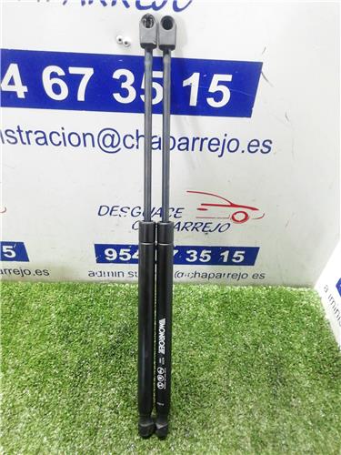 amortiguador porton volkswagen passat berlina 1.9 tdi (110 cv)