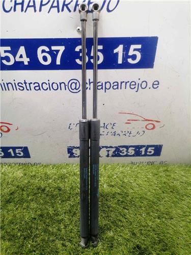 AURIS Amortiguador Porton AURIS Amortiguador Porton