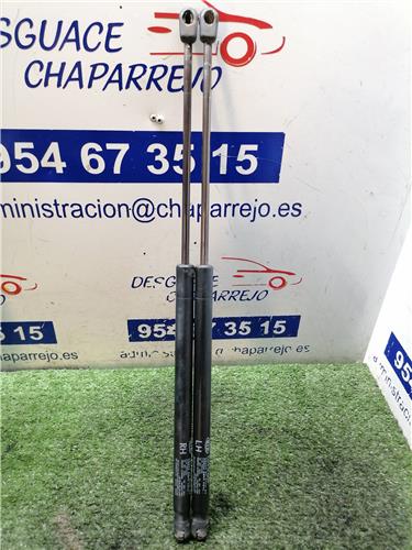 CARENS Amortiguador Porton CARENS Amortiguador Porton