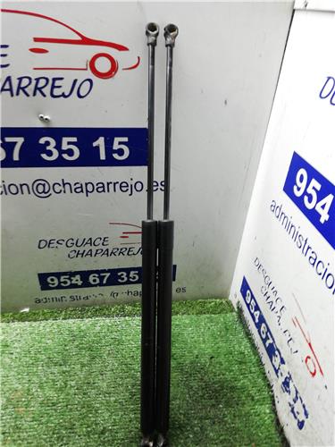 C3 PICASSO Amortiguador Porton C3 PICASSO Amortiguador Porton