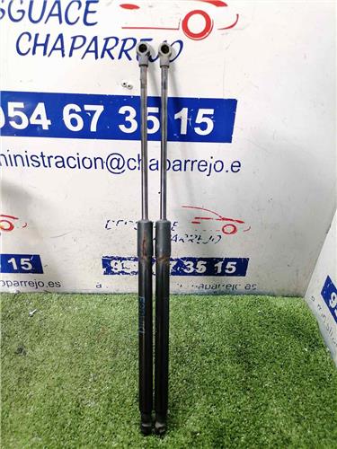 SERIE 1 LIM. Amortiguador Porton SERIE 1 LIM. Amortiguador Porton