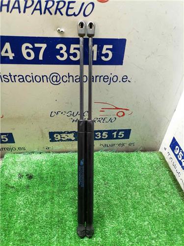 C3 Amortiguador Porton C3 Amortiguador Porton
