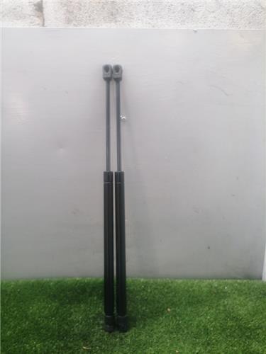 i10 PA2007- Amortiguador Porton i10 PA2007- Amortiguador Porton