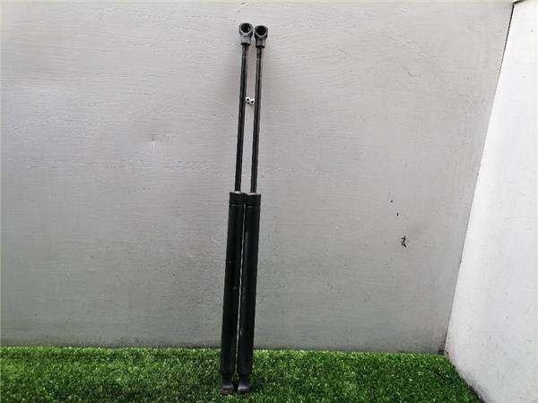 307 Berlina S206.2005- Amortiguador Porton 307 Berlina S206.2005- Amortiguador Porton