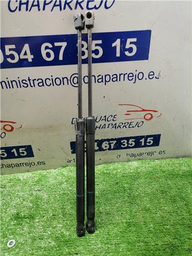 ASTRA H BER. Amortiguador Porton ASTRA H BER. Amortiguador Porton