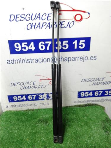 CARENS Amortiguador Porton CARENS Amortiguador Porton