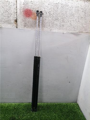 Phedra 1802002- Amortiguador Porton Phedra 1802002- Amortiguador Porton
