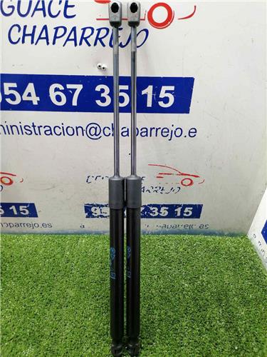 C3 AIRCROSS Amortiguador Porton C3 AIRCROSS Amortiguador Porton
