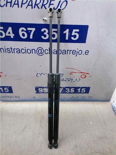 AURIS Amortiguador Porton AURIS Amortiguador Porton