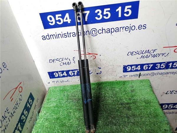 AURIS Amortiguador Porton AURIS Amortiguador Porton
