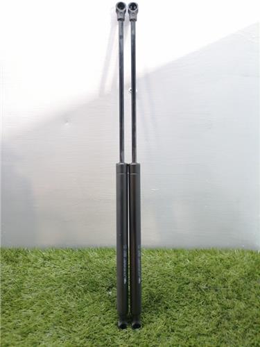 206 BERLINA Amortiguador Porton 206 BERLINA Amortiguador Porton