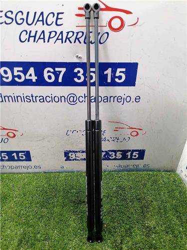 206 BERLINA Amortiguador Porton 206 BERLINA Amortiguador Porton