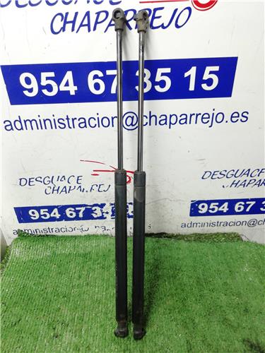LACETTI Amortiguador Porton LACETTI Amortiguador Porton