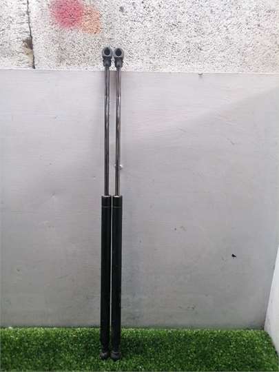 C4 Berlina 06.2004- Amortiguador Porton C4 Berlina 06.2004- Amortiguador Porton
