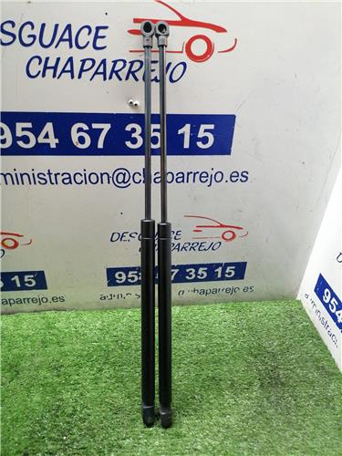 A4 BERLINA Amortiguador Porton A4 BERLINA Amortiguador Porton