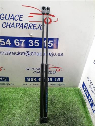 ALMERA Amortiguador Porton ALMERA Amortiguador Porton