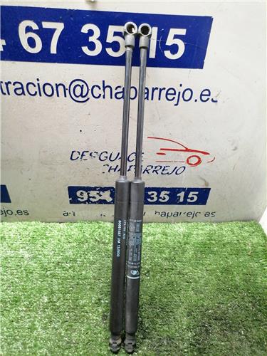 GT Amortiguador Porton GT Amortiguador Porton