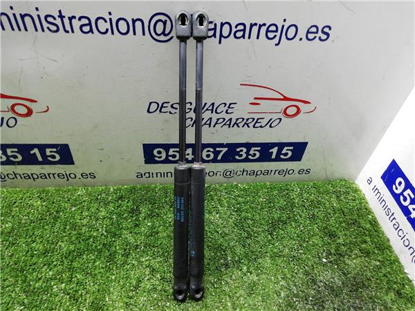 407 Amortiguador Porton 407 Amortiguador Porton