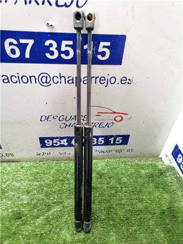MEGANE I BERLINA HATCHBACK Amortiguador Porton MEGANE I BERLINA HATCHBACK Amortiguador Porton