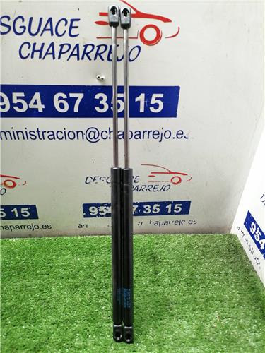 206 BERLINA Amortiguador Porton 206 BERLINA Amortiguador Porton