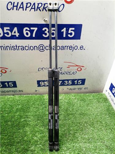 MICRA Amortiguador Porton MICRA Amortiguador Porton