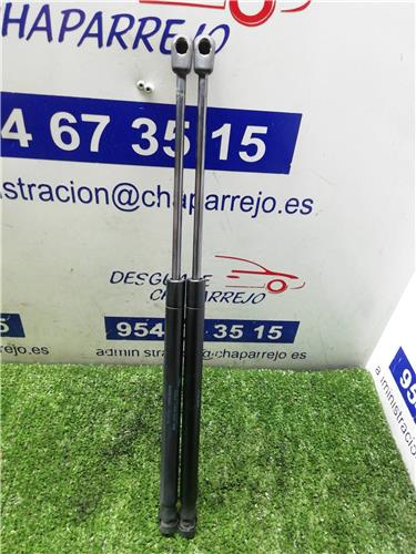 C3 Amortiguador Porton C3 Amortiguador Porton