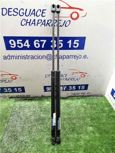 ASTRA G BERLINA Amortiguador Porton ASTRA G BERLINA Amortiguador Porton