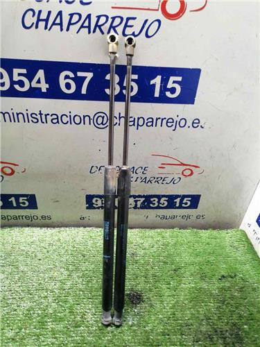 AURIS Amortiguador Porton AURIS Amortiguador Porton