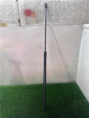 amortiguador capo volkswagen passat berlina (3c2)(2005 >) 2.0 tdi 16v