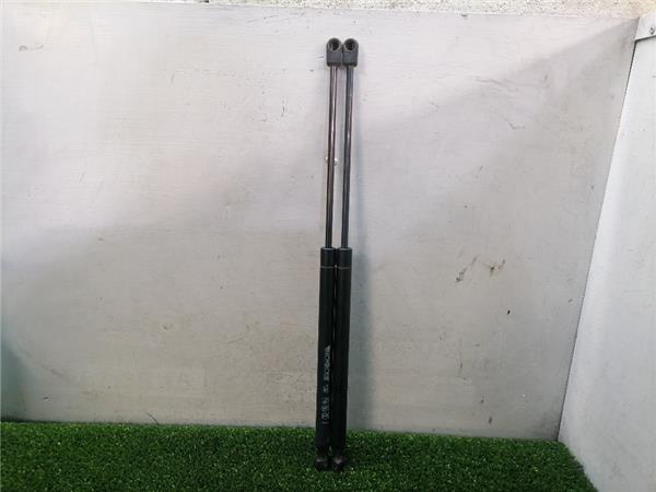307 Break SW S104.2002-06.2005 Amortiguador Porton 307 Break SW S104.2002-06.2005 Amortiguador Porton