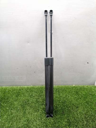 207 SW 2007- Amortiguador Porton 207 SW 2007- Amortiguador Porton