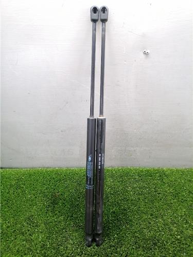 307 Break SW S206.2005- Amortiguador Porton 307 Break SW S206.2005- Amortiguador Porton