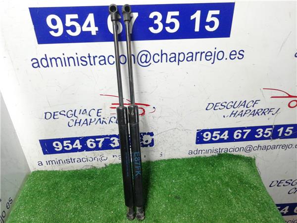 SERIE 1 BERLINA Amortiguador Porton SERIE 1 BERLINA Amortiguador Porton