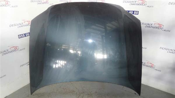 capo volkswagen passat berlina 19 tdi 131 cv