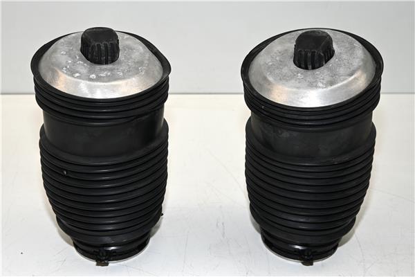 balona neumatica trasera izquierda mercedes b