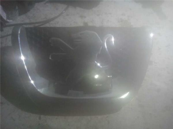 rejilla capo peugeot 5008 16 e hdi fap 114 cv