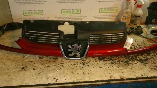 rejilla capo peugeot 206 berlina 14 hdi 68 cv