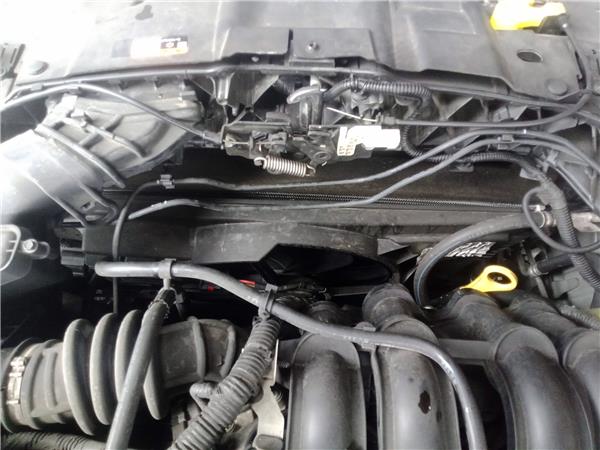 radiador ford focus berlina cew 2014 16 tren