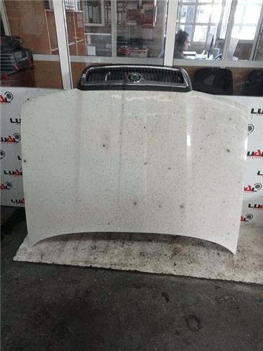 capo skoda octavia berlina 1u2 19 tdi