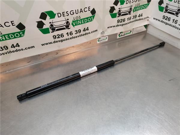 amortiguador porton kia carnival ii fl 2001