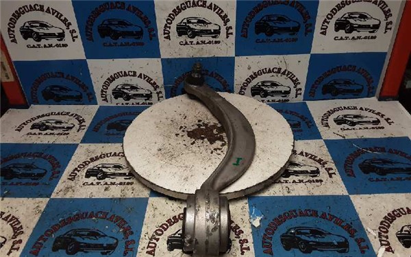 Brazo Inferior Delantero Izquierdo