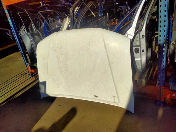 capo nissan pathfinder r51 012005 25 dci le